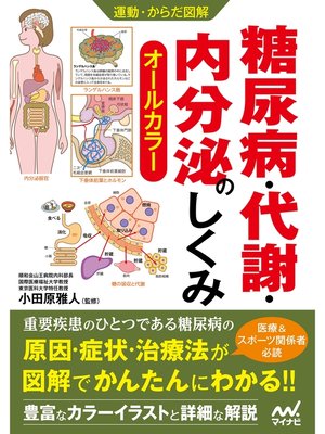 cover image of 運動・からだ図解 糖尿病・代謝・内分泌のしくみ